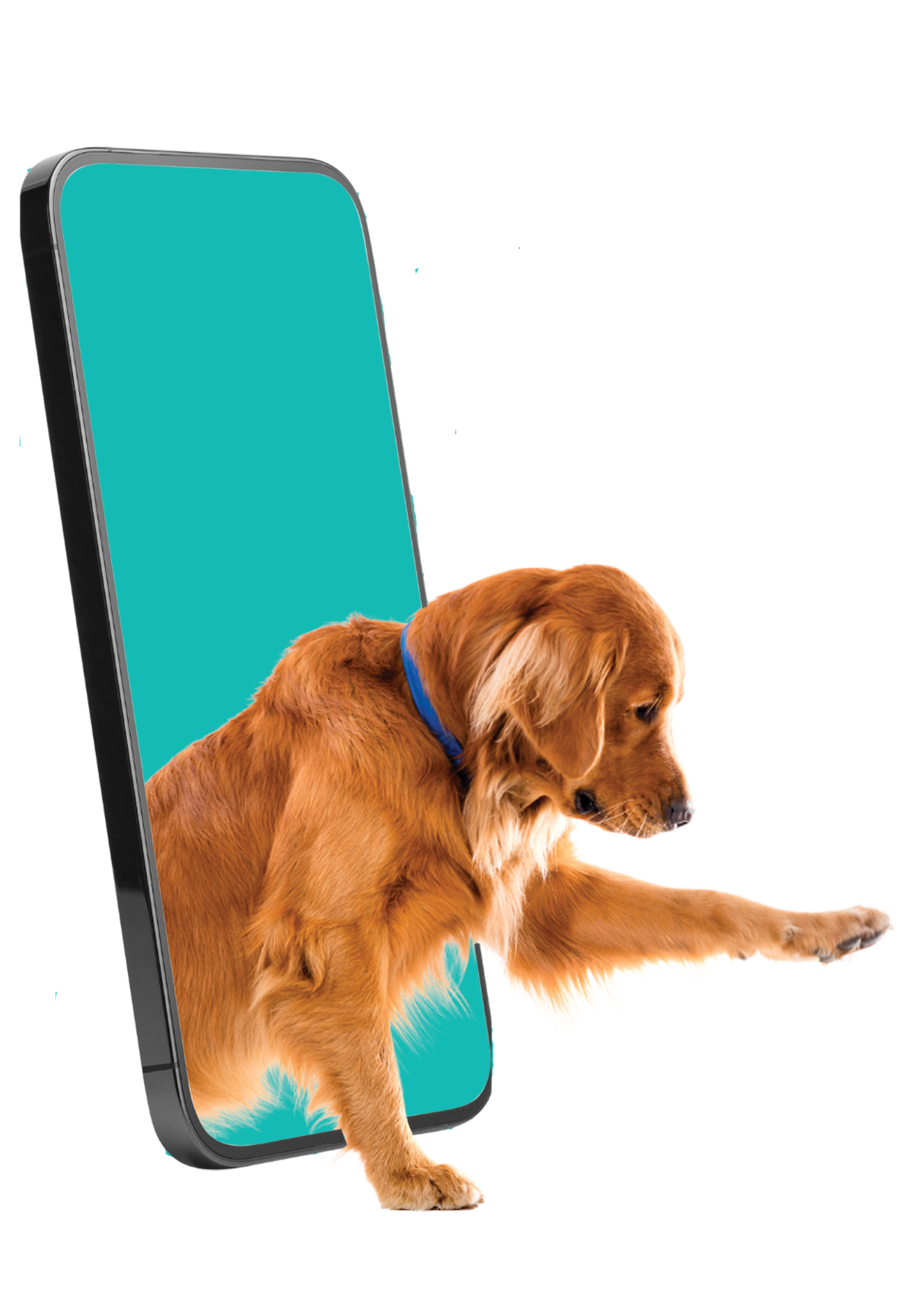 Golden retriever 3d coming out of smartphone